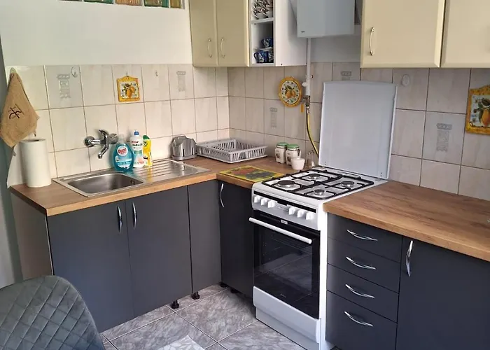 Podjasnogorski דירה צ'סטוצ'ובה