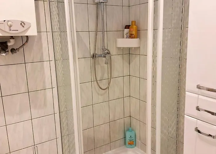 Podjasnogorski Çestohova