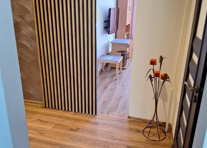 Podjasnogorski דירה צ'סטוצ'ובה