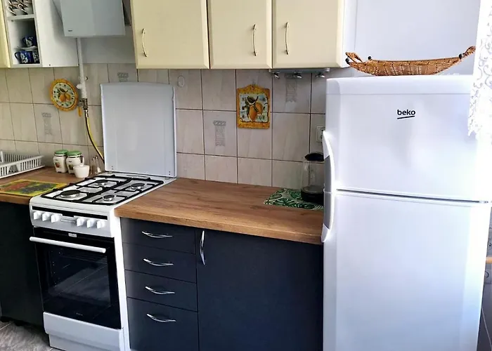 Podjasnogorski Çestohova